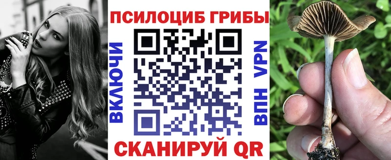 Псилоцибиновые грибы Magic Shrooms  цены   Мураши 